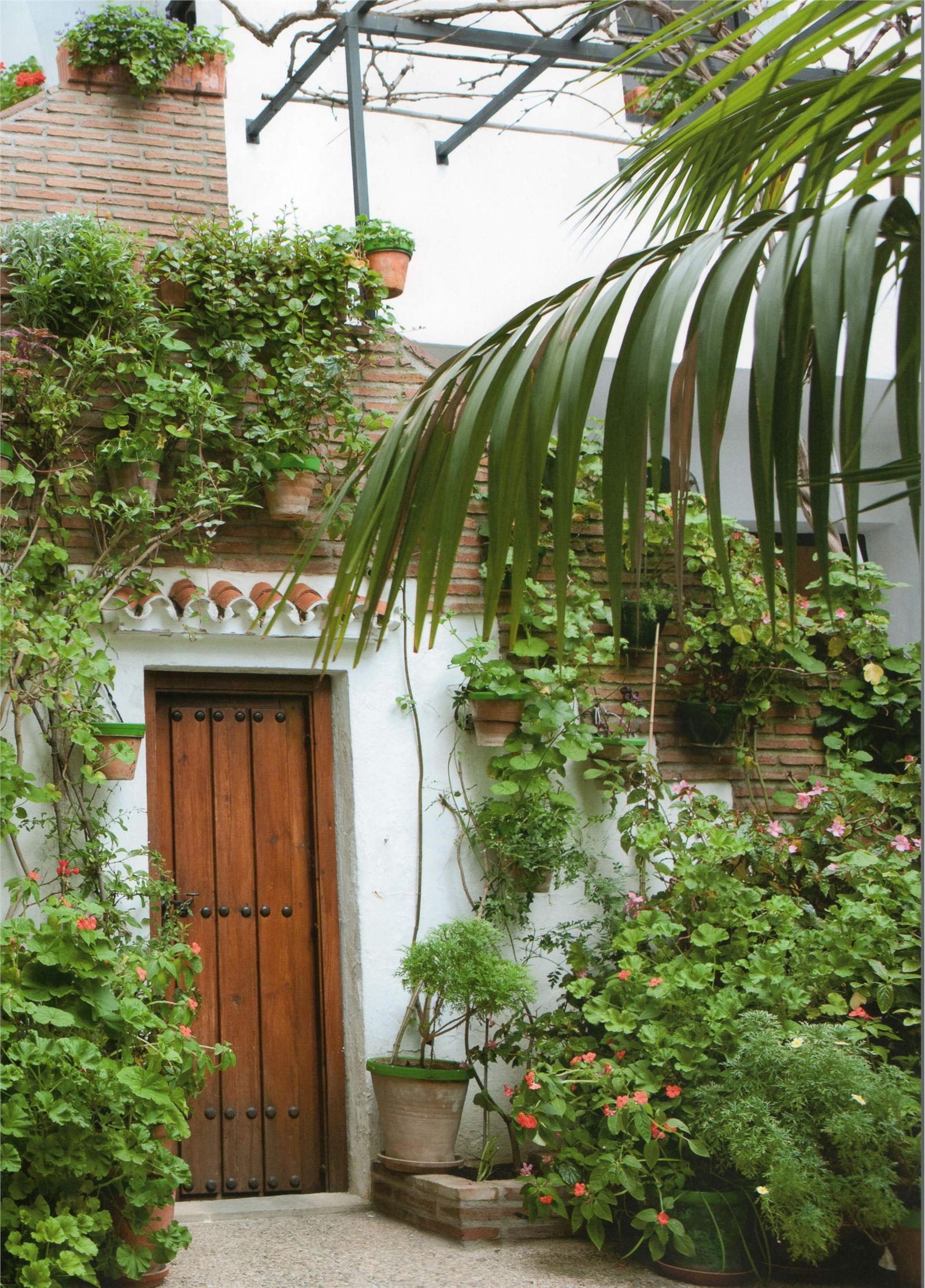 [PB写真集] 山本梓  -  As One